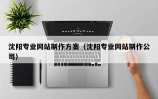 湛江沈阳专业网站制作方案（沈阳专业网站制作公司）